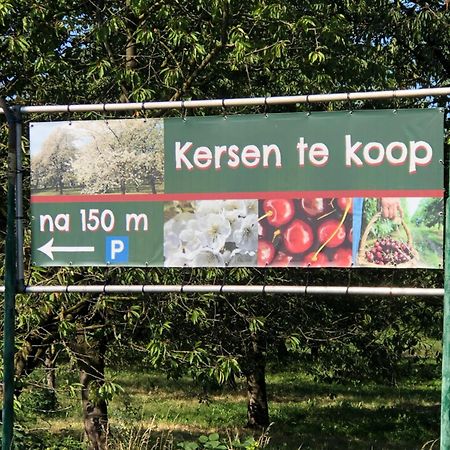 Gastenverblijf Op De Prins Hendrik Hoeve In Buren Buren  Екстериор снимка