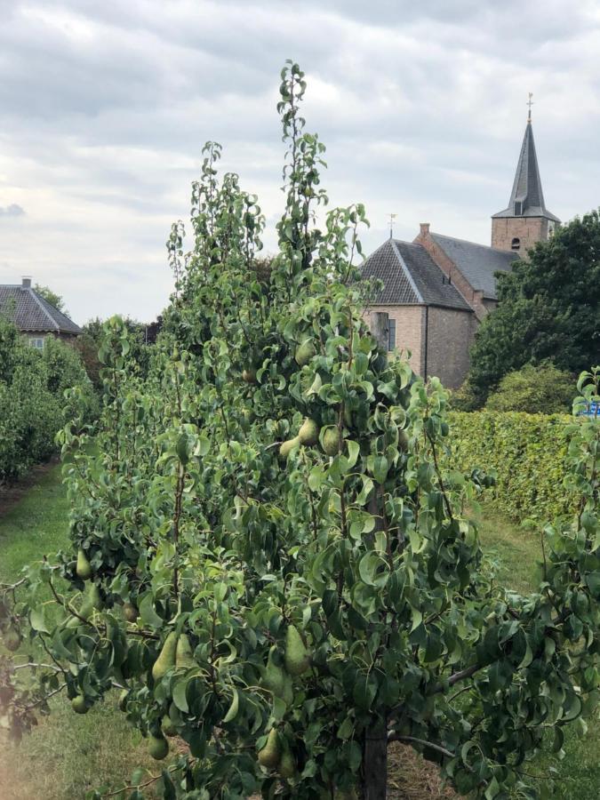 Gastenverblijf Op De Prins Hendrik Hoeve In Buren Buren  Екстериор снимка